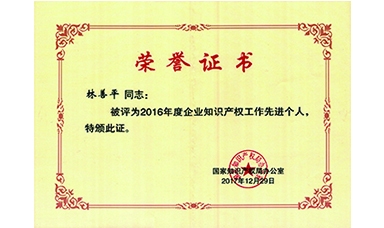 林善平榮獲國家“企業(yè)知識產(chǎn)權工作先進個人”