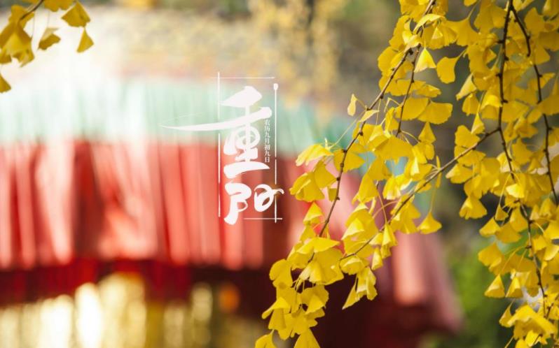 金秋送爽，心暖重陽。祝您重陽愉快，闔家歡樂，福壽安康！